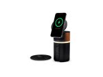 Duracell M250